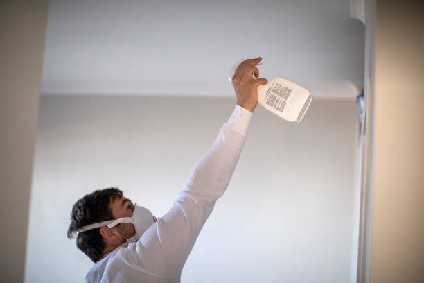 Mold Testing and Removal in Harrisburg, NC