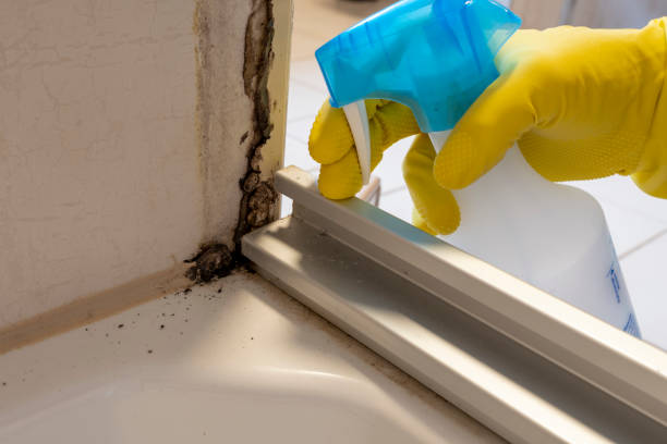 Best Crawl Space Mold Removal  in Harrisburg, NC