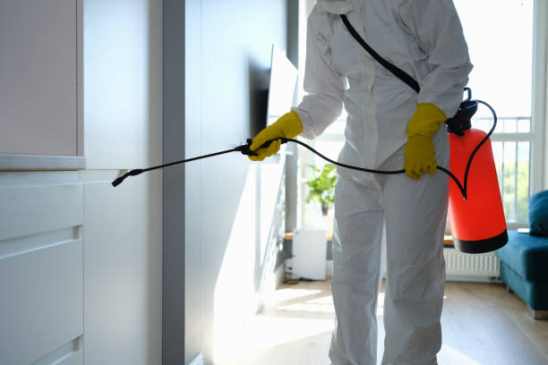 Best Certified Mold Removal  in Harrisburg, NC