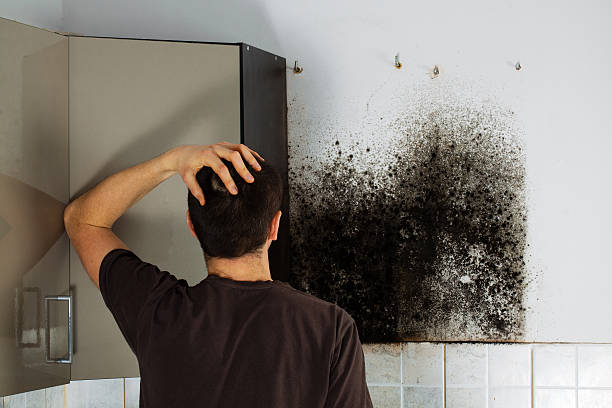 Crawl Space Mold Removal in Harrisburg, NC